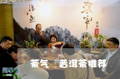 茶气 普洱茶推荐/2023041026359